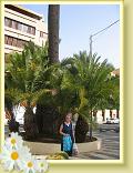 IMG_4779