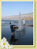 IMG_4957