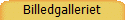 Billedgalleriet